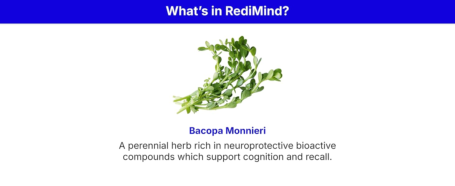 RediMind photo 7